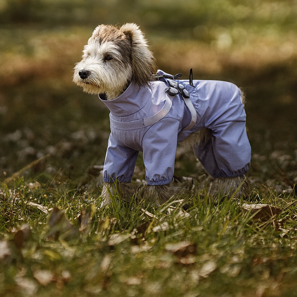 Stormstride Raincoat