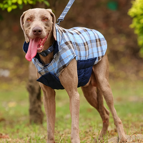 Windsor Reversible Coat