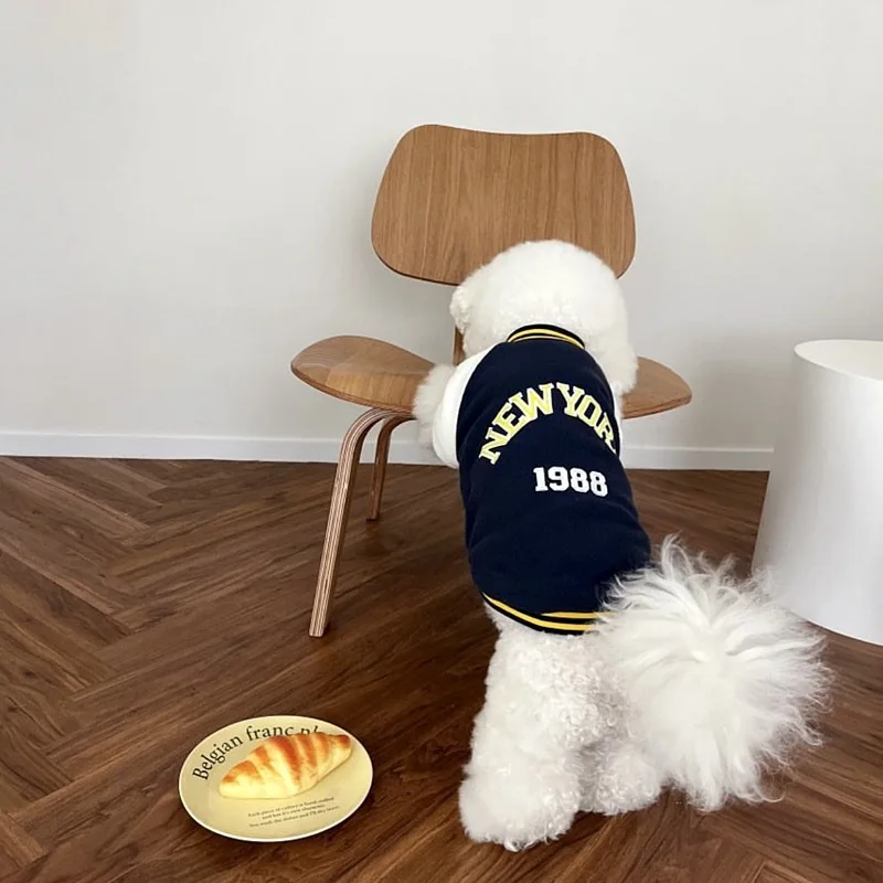 The Varsity Club Jacket