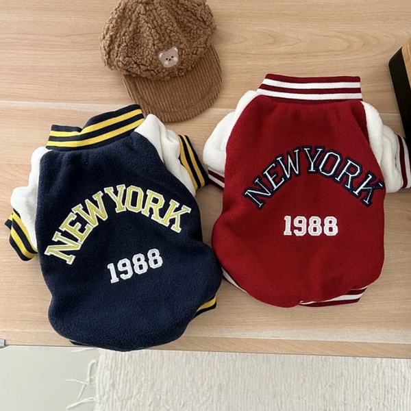 The Varsity Club Jacket