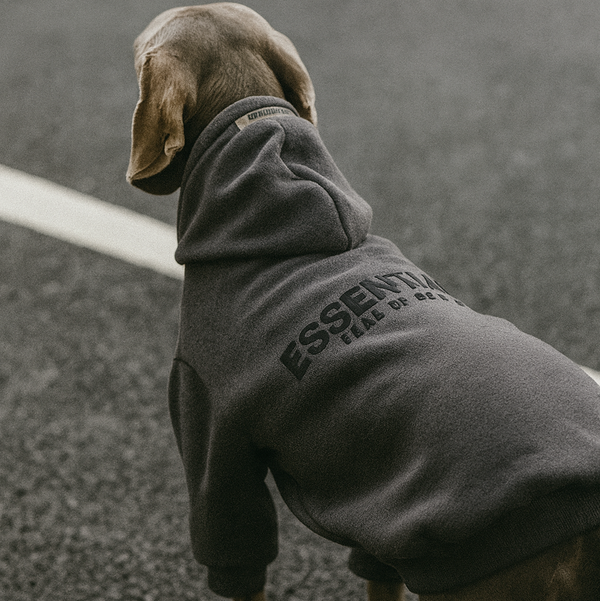Noir Essentials Hoodie