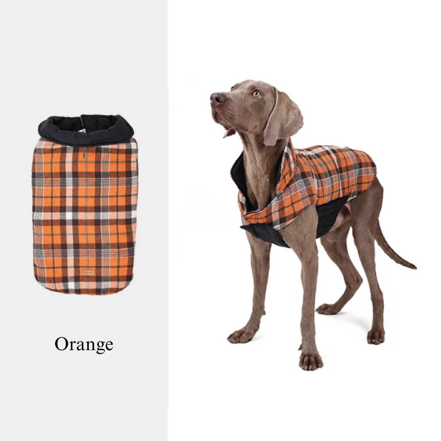 Windsor Reversible Coat