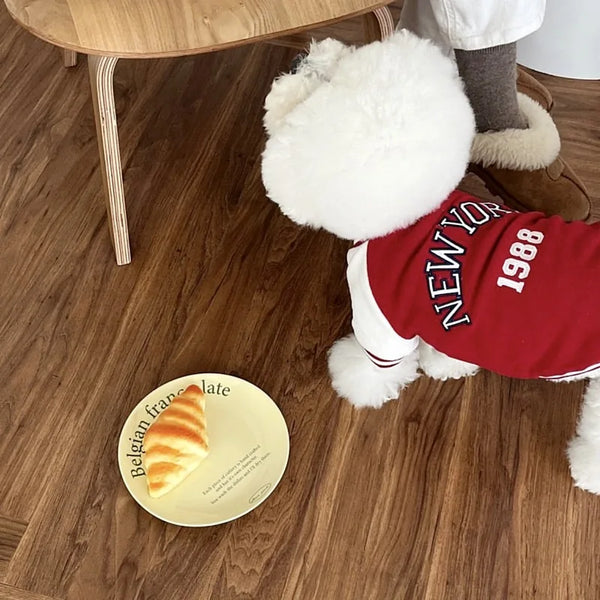 The Varsity Club Jacket