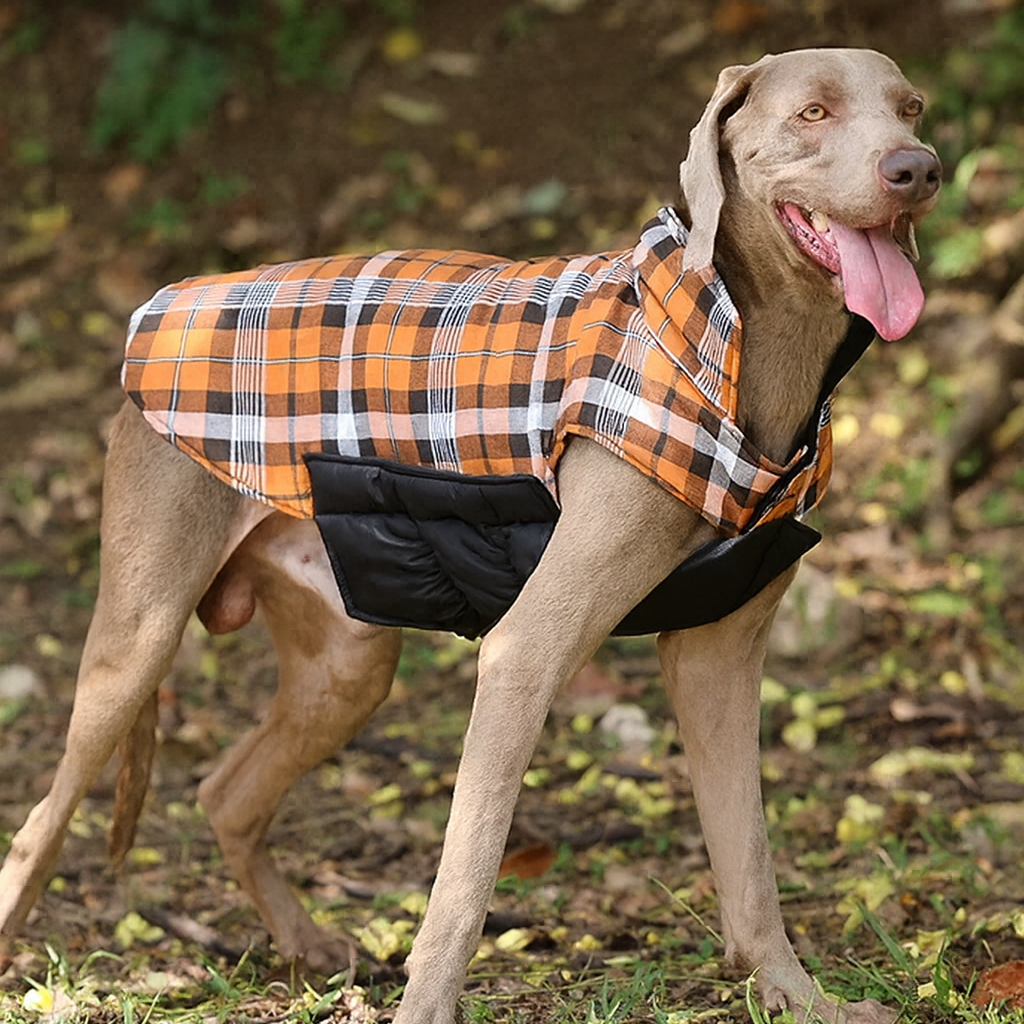 Windsor Reversible Coat