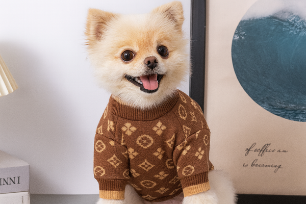Monarch Designer Sweater