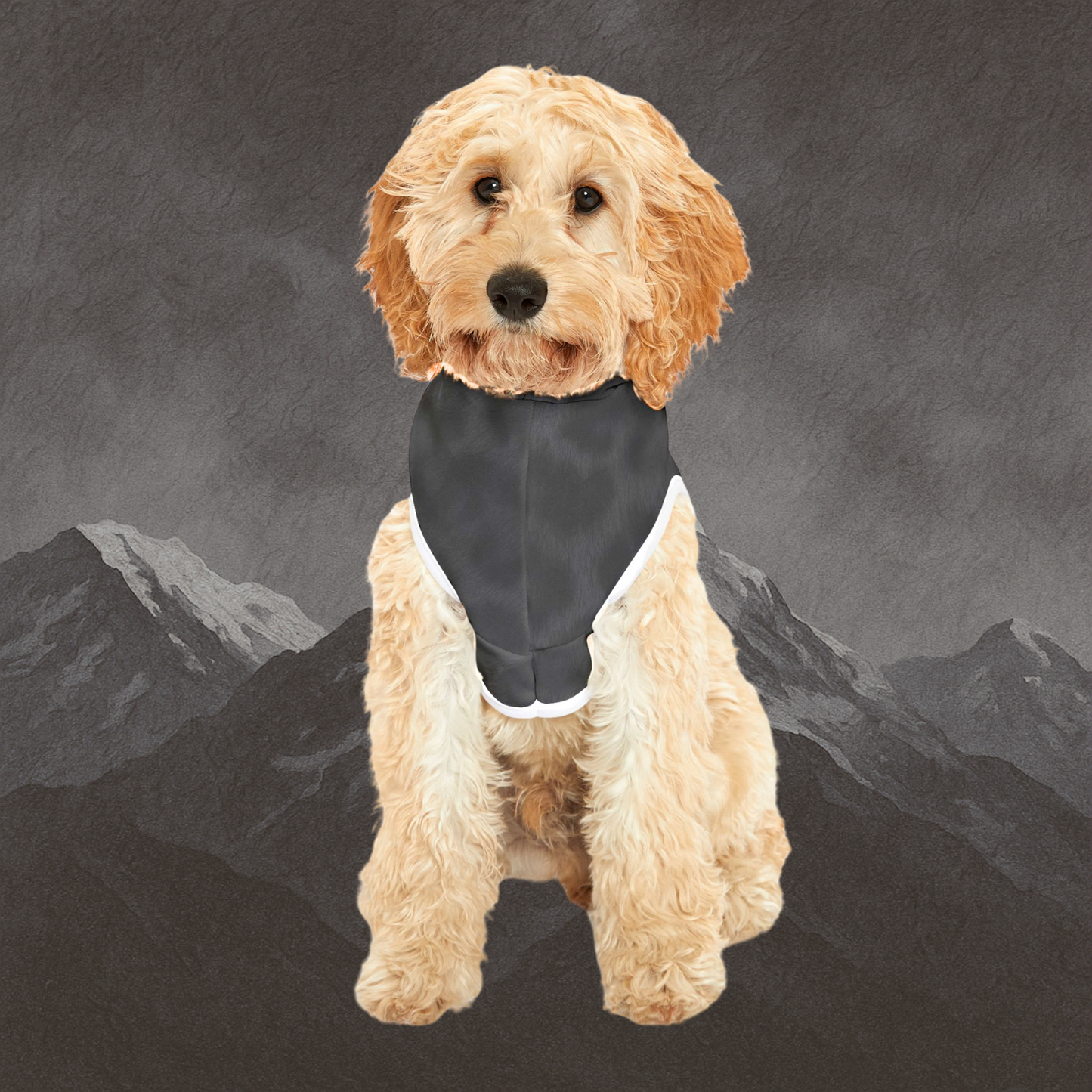 The Black Panther Print Hoodie