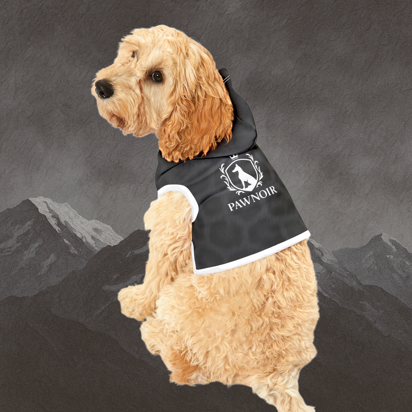 The Black Panther Print Hoodie